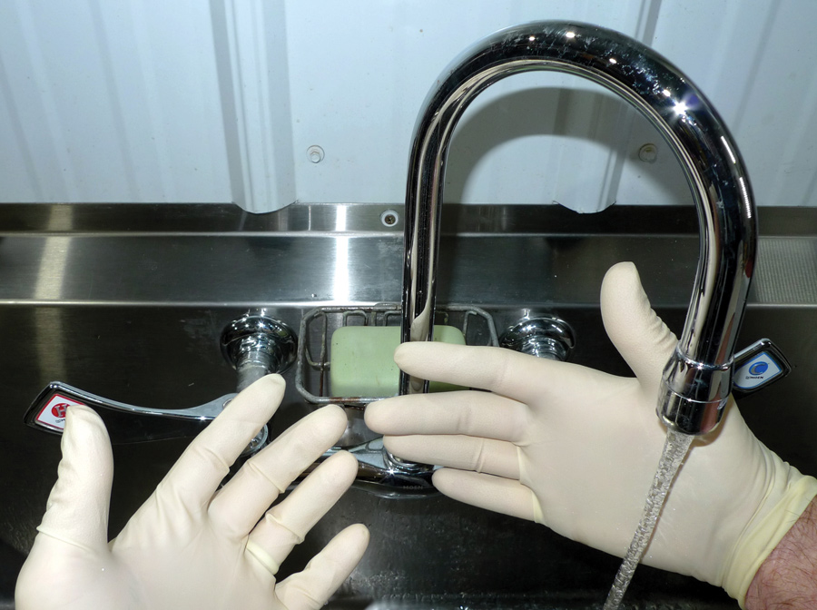 Washing hands in sink