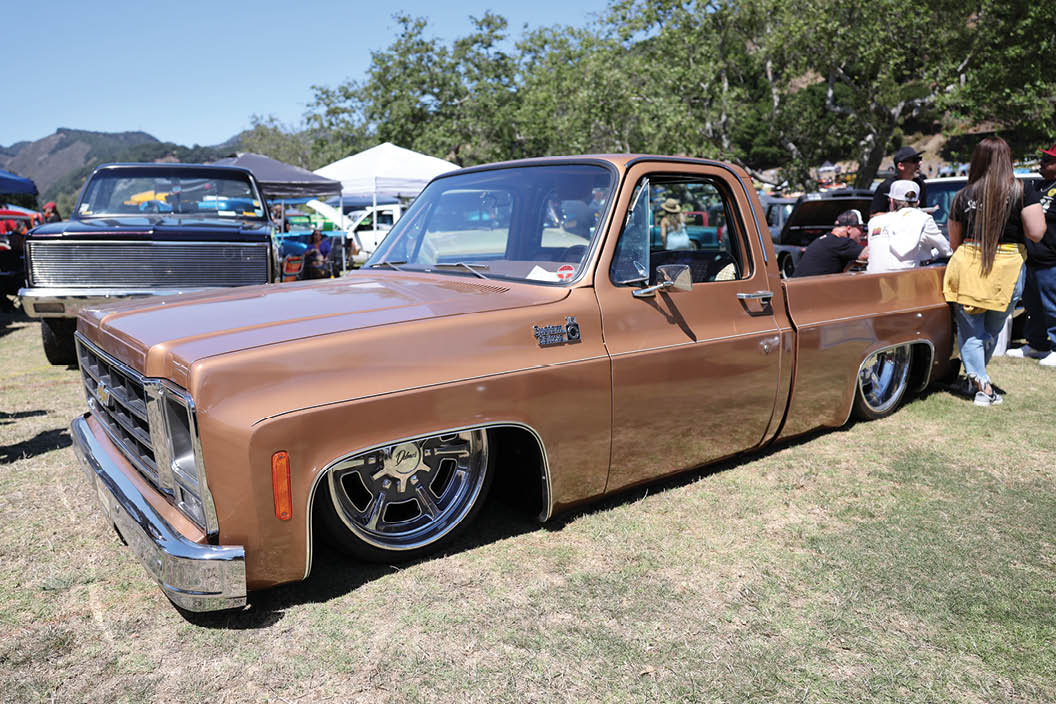 brown C10 truck