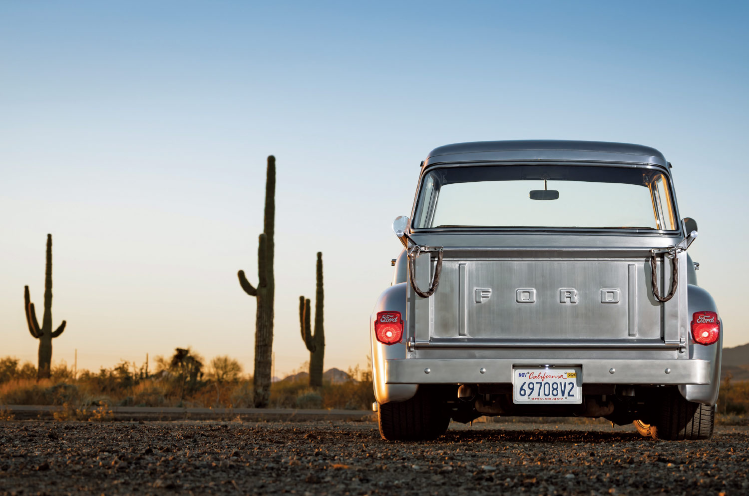 A low-angle, straight-on rear view of a custom 1956 Ford F-100 classic pickup truck. The truck is parked on a dirt road in a desert landscape at sunset, with several large saguaro cactuses visible in the background. 