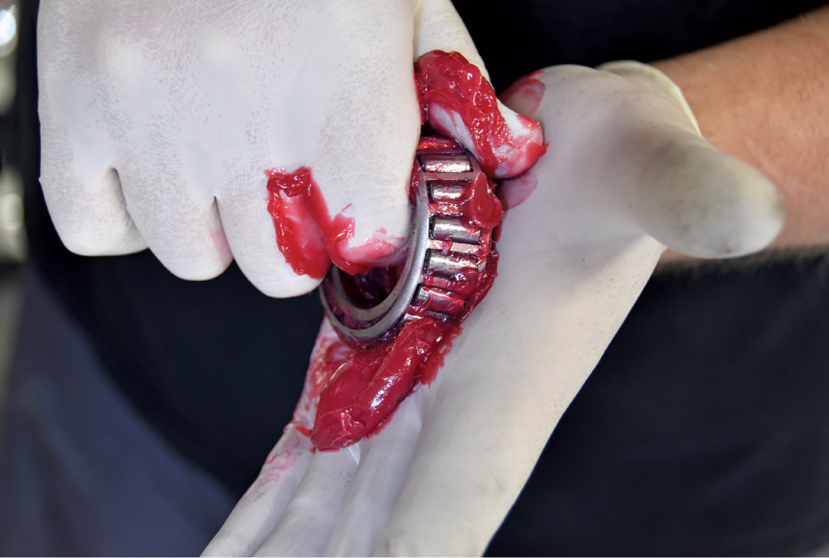 wheel bearing completely immersed in grease